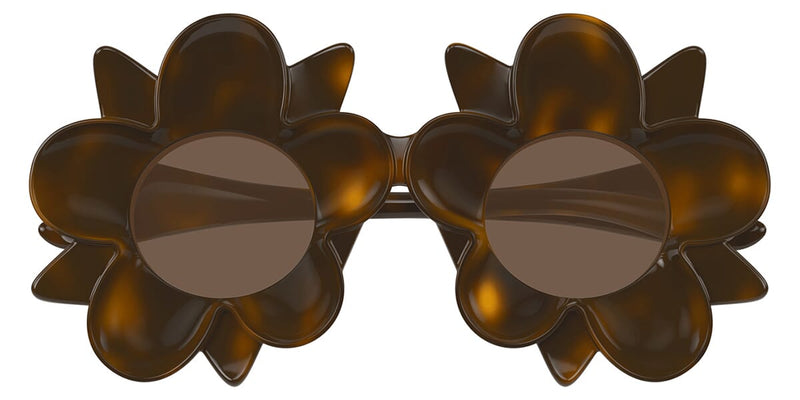 bottega-veneta-bv1399s-008-hd- bottega-veneta-bv1399s-008-hd-