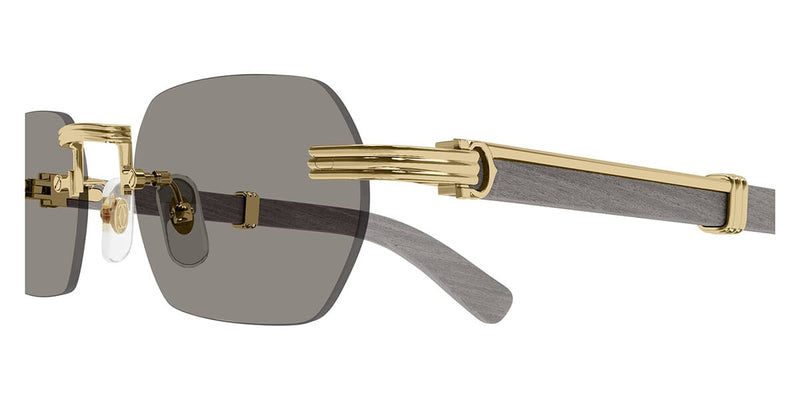 Cartier CT0362S 005 Sunglasses - Pretavoir