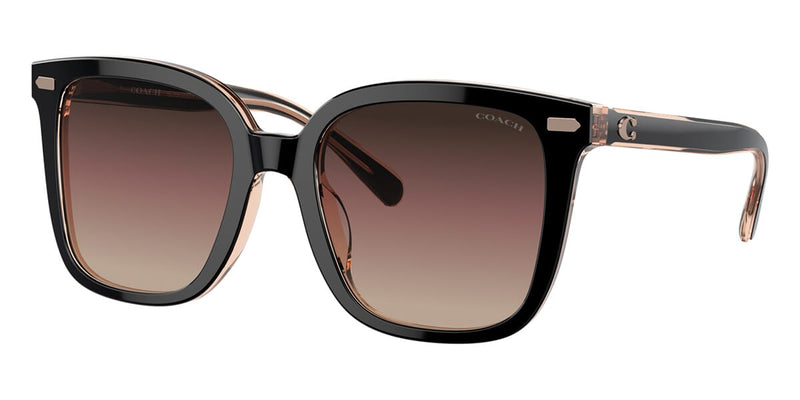 Coach CL918 HC8381U 5781/E2 Sunglasses - Pretavoir
