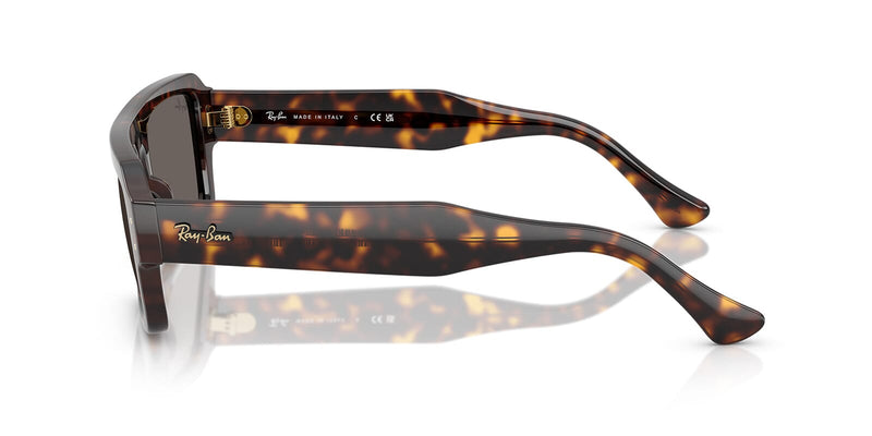 Ray-Ban Lukas RB 4454 1359/B1 Sunglasses - Pretavoir