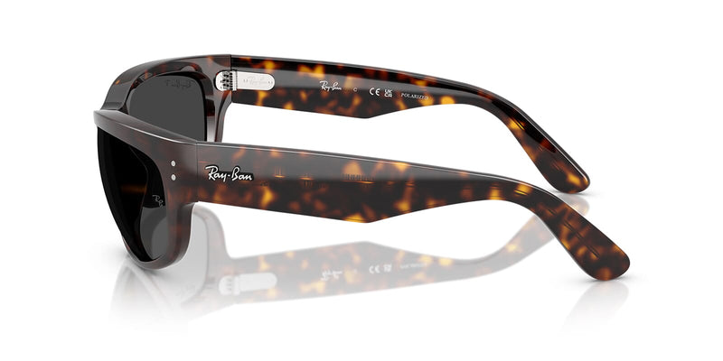 ray-ban-mega-balorama-rb-2289-