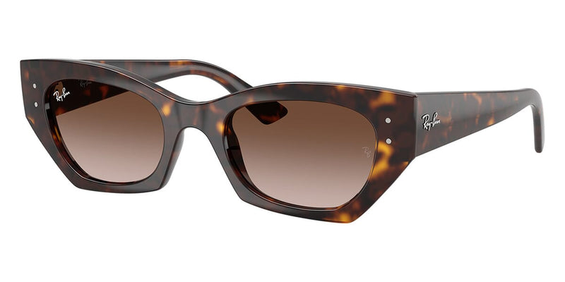 Ray℃ 木ノ葉 ray-ban-zena-rb-4430-135913-hd
