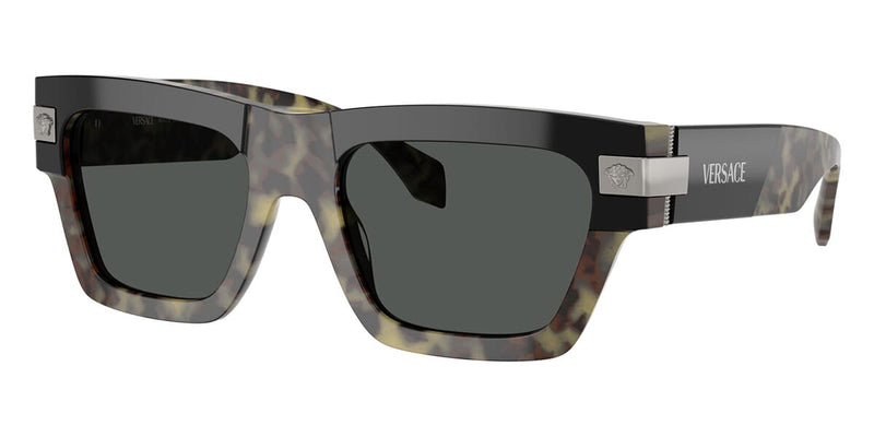 versace-4464-545687-hd-1_800x.