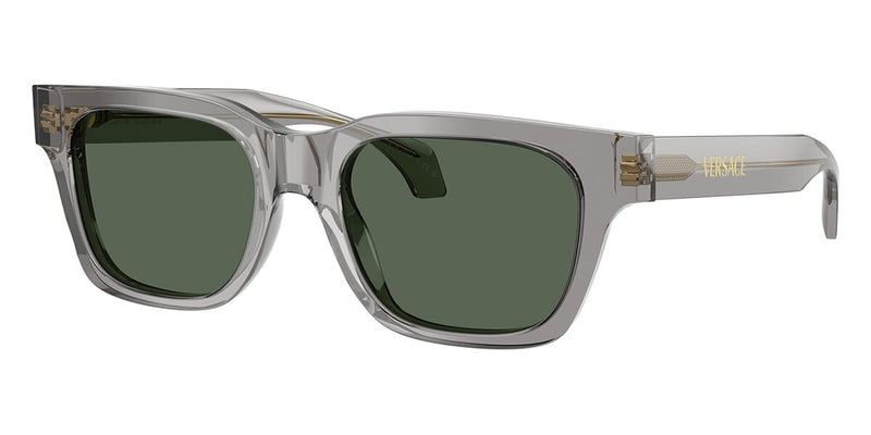 versace-4486-551071-hd-1_800x.