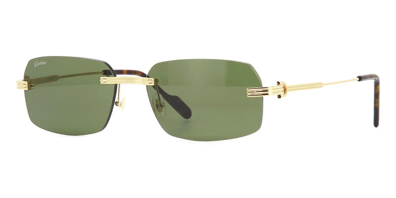 cartier-ct0271s-002-hd-1_800x.