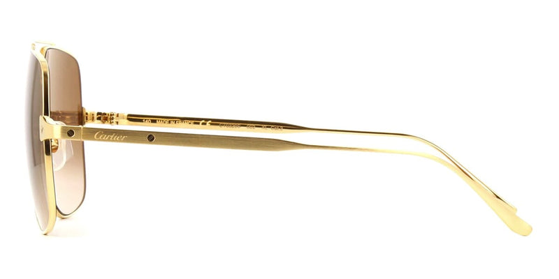 cartier-ct0329s-002-hd-3_800x.