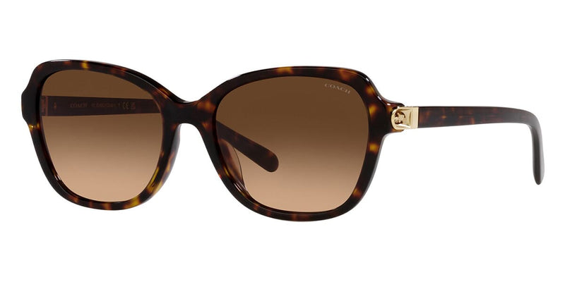 Coach sales sunglasses hc8241