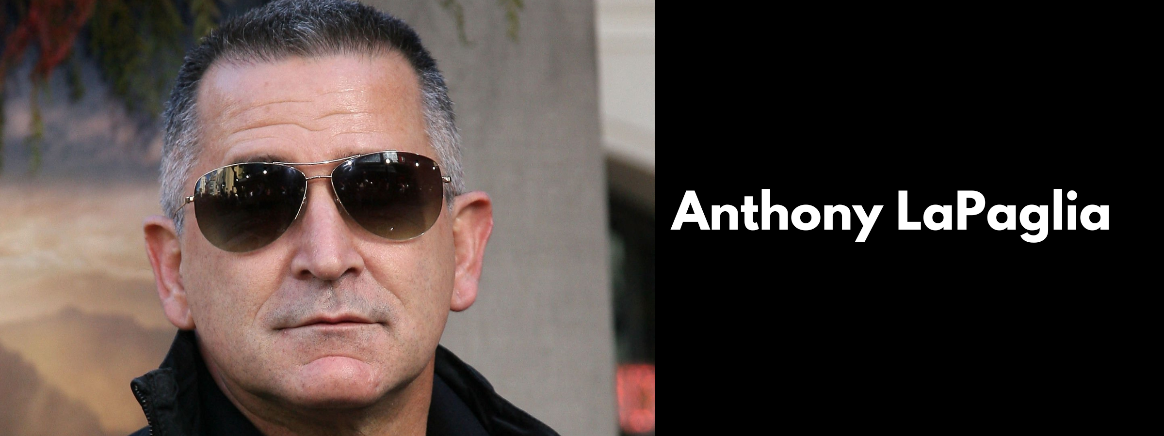 Anthony LaPaglia Sunglasses