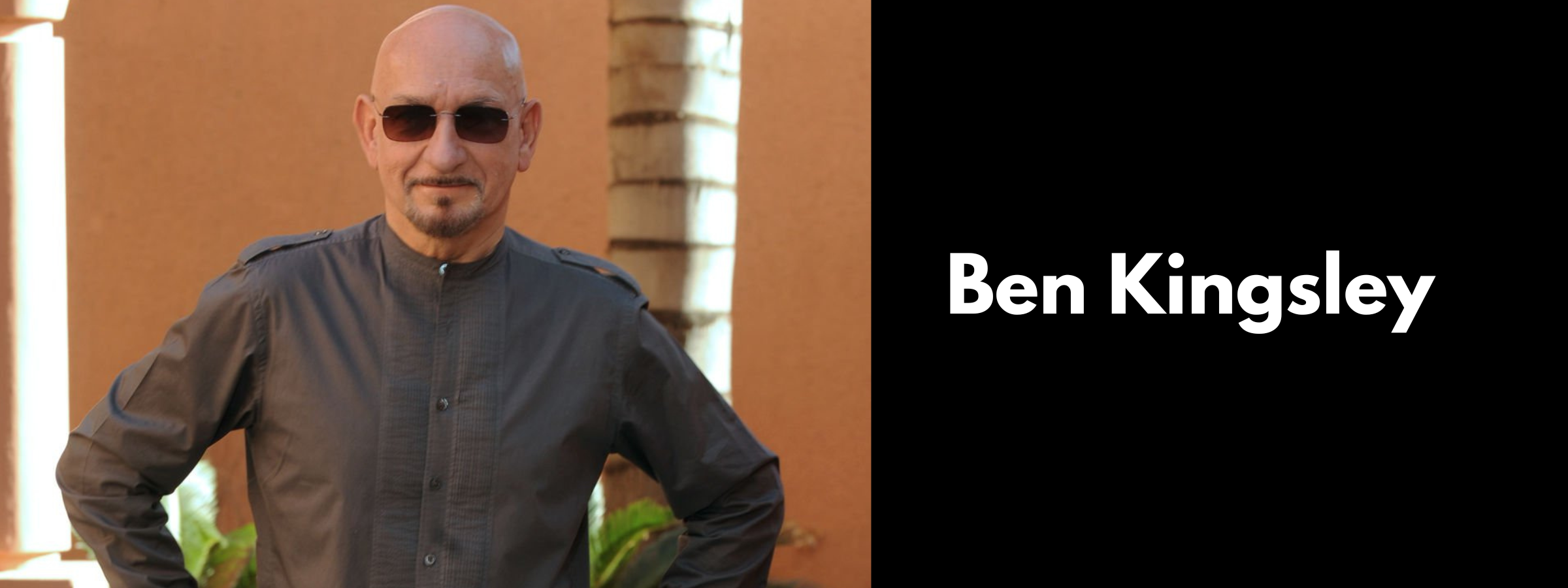 Ben Kingsley Sunglasses