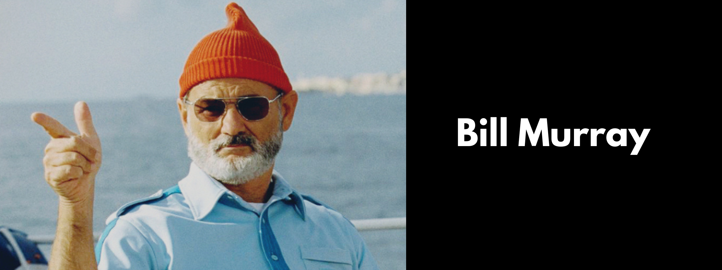 Bill Murray Sunglasses