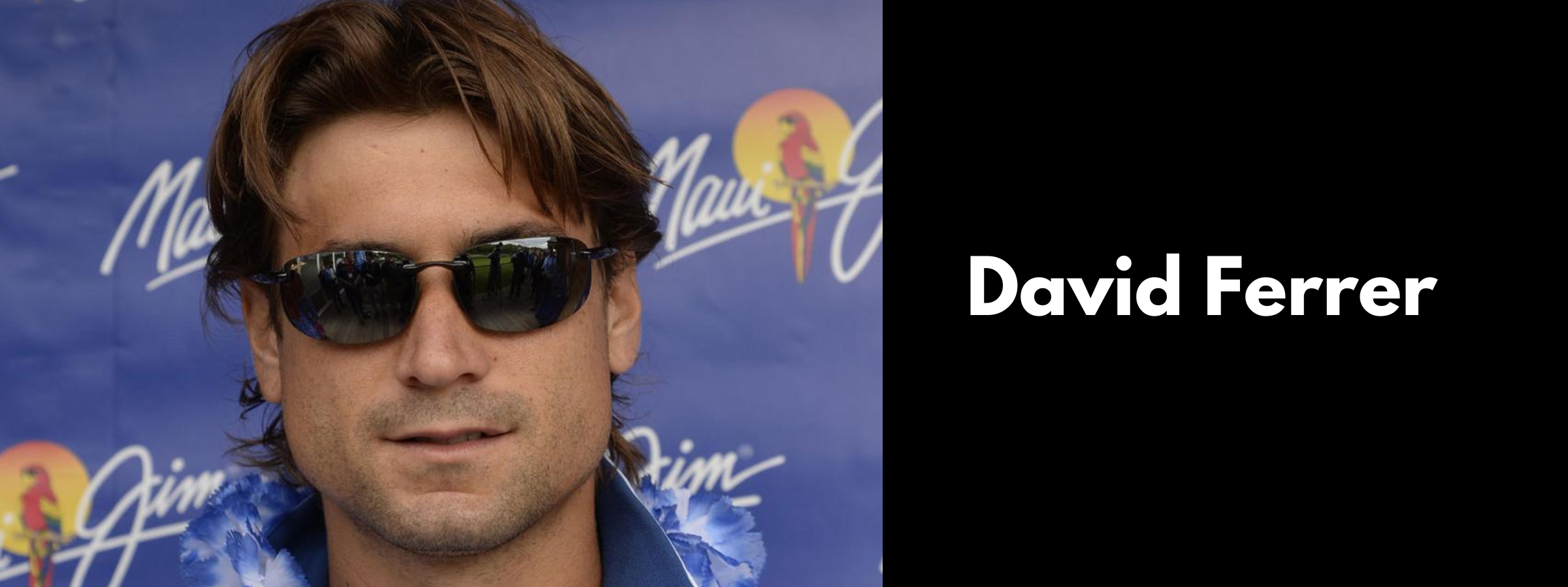 David Ferrer Sunglasses