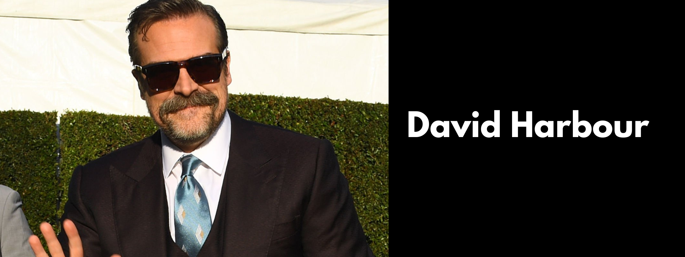 David Harbour Glasses & Sunglasses