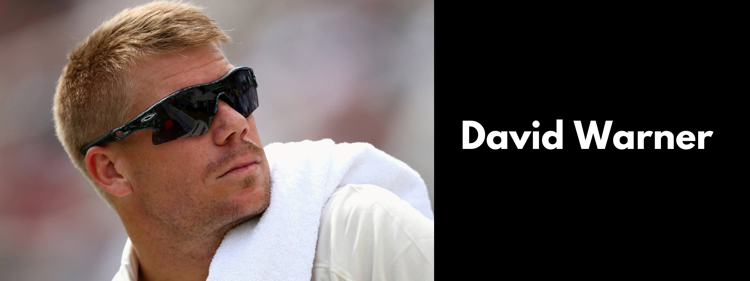 David Warner Sunglasses