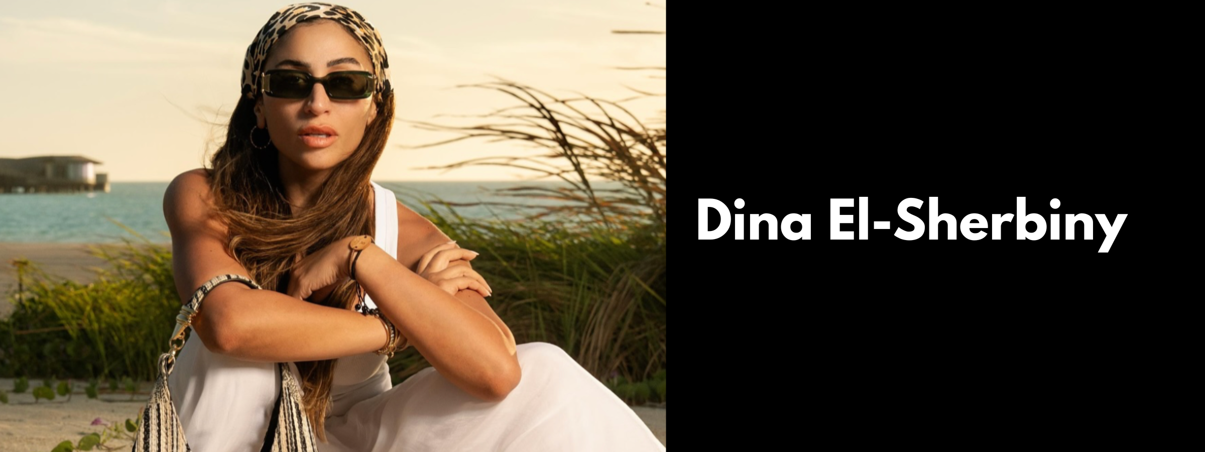 Dina El-Sherbiny Sunglasses