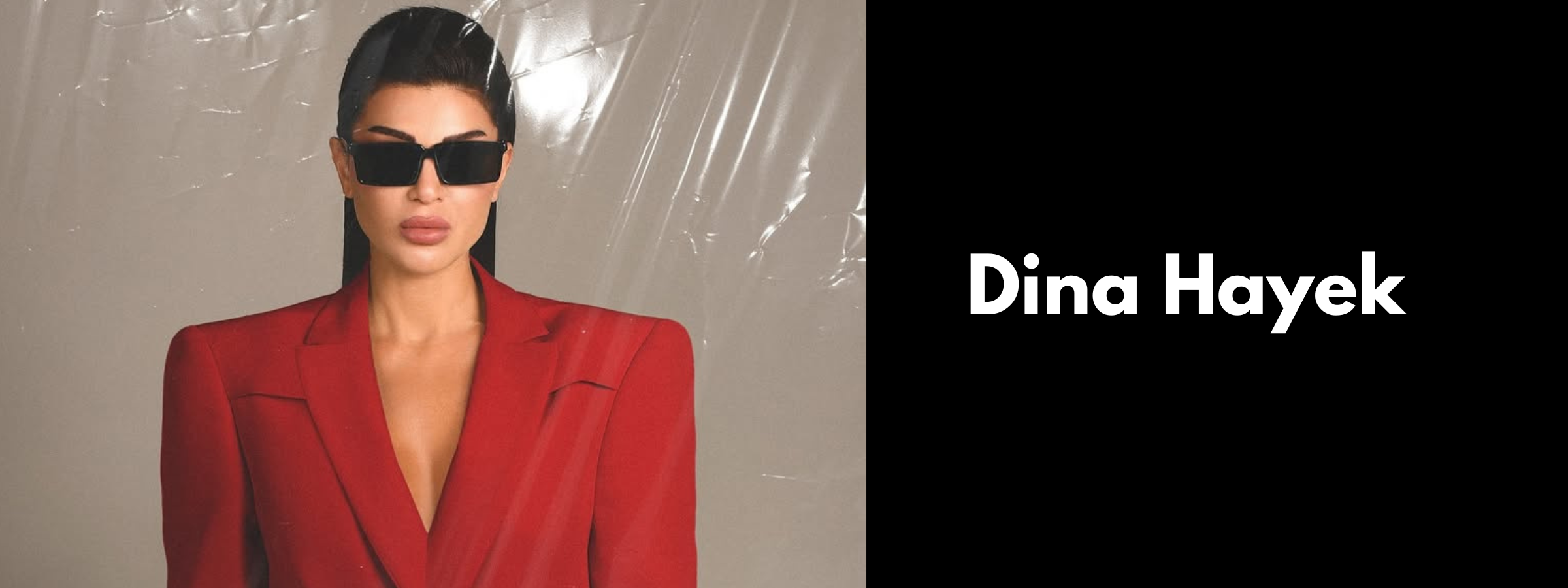 Dina Hayek Sunglasses