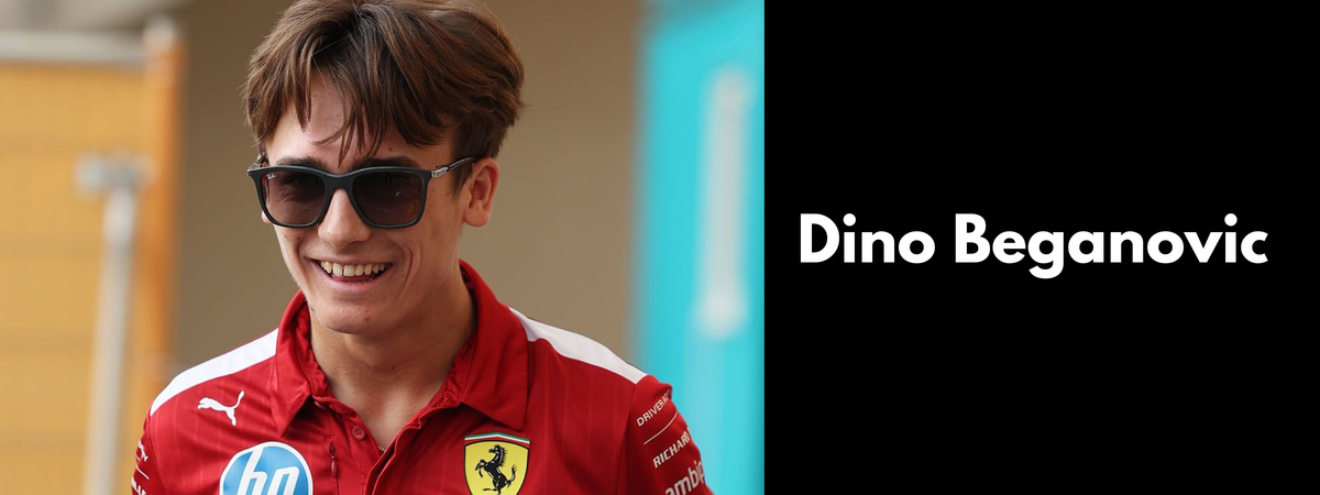 Dino Beganovic Sunglasses