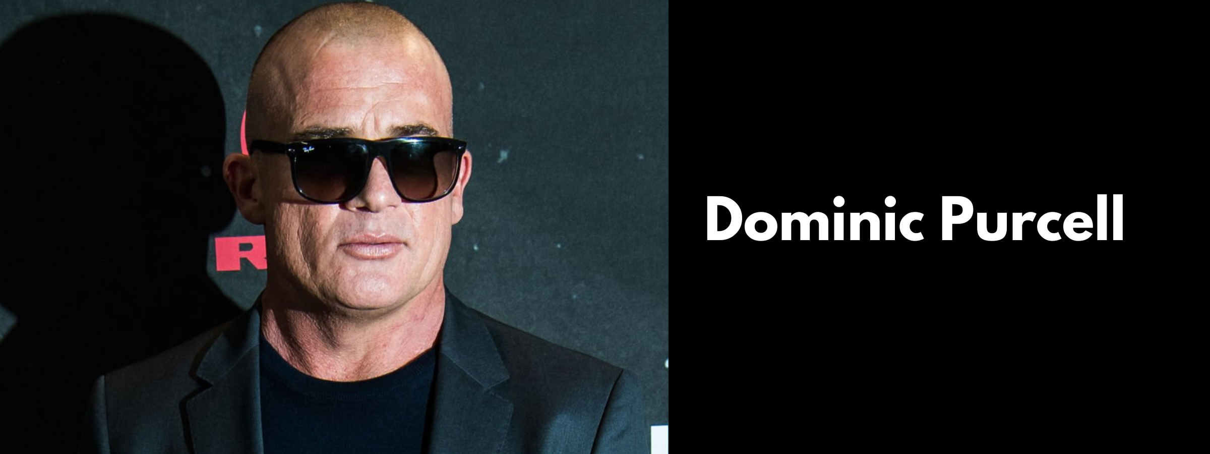 Dominic Purcell Sunglasses