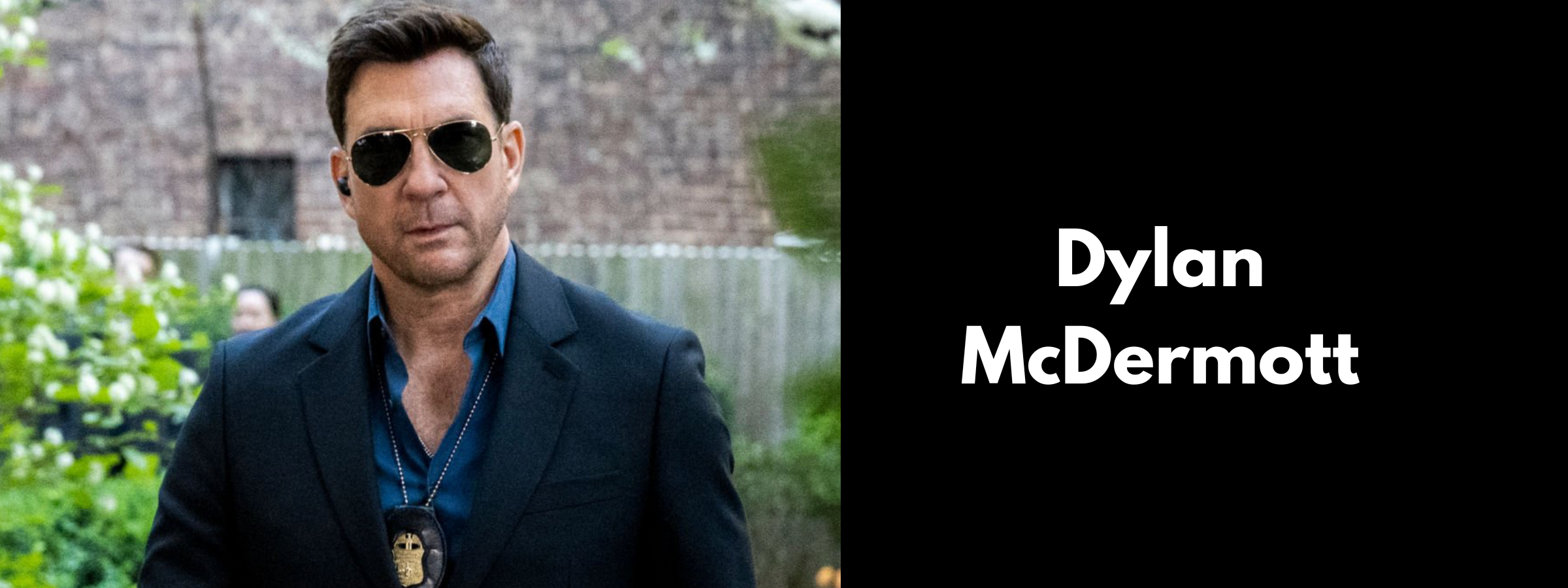 Dylan McDermott Sunglasses