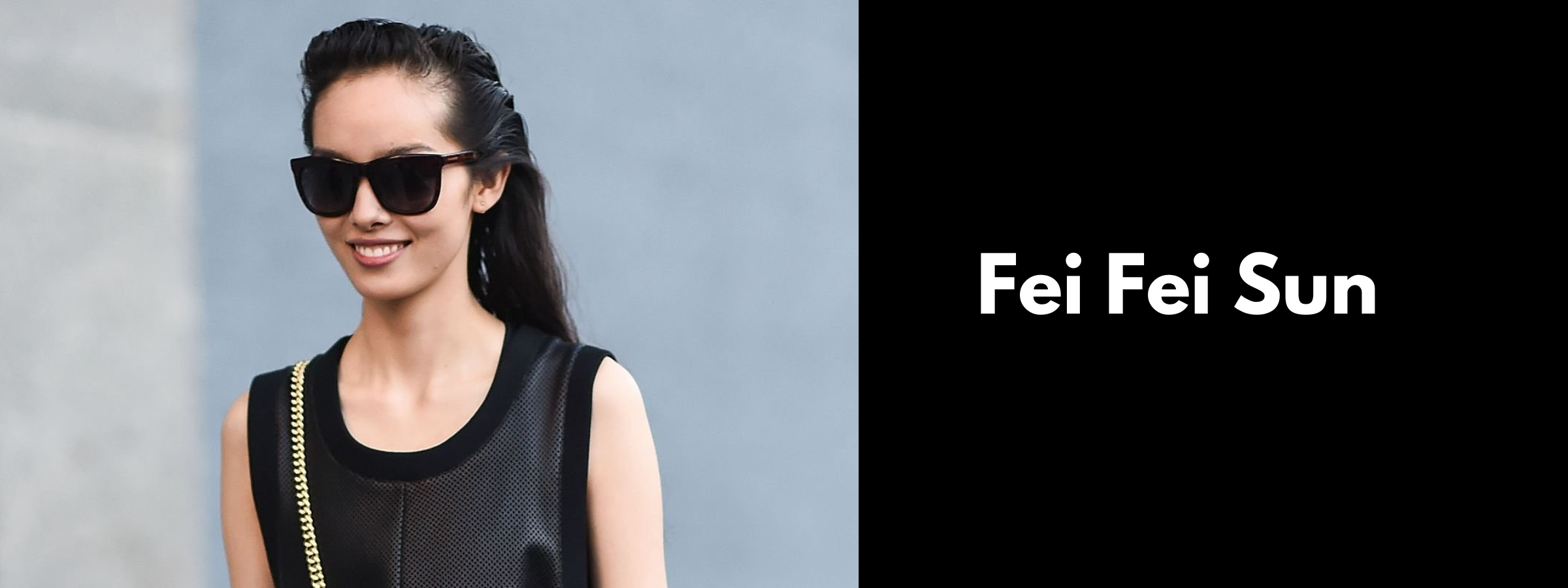 Fei Fei Sun Sunglasses