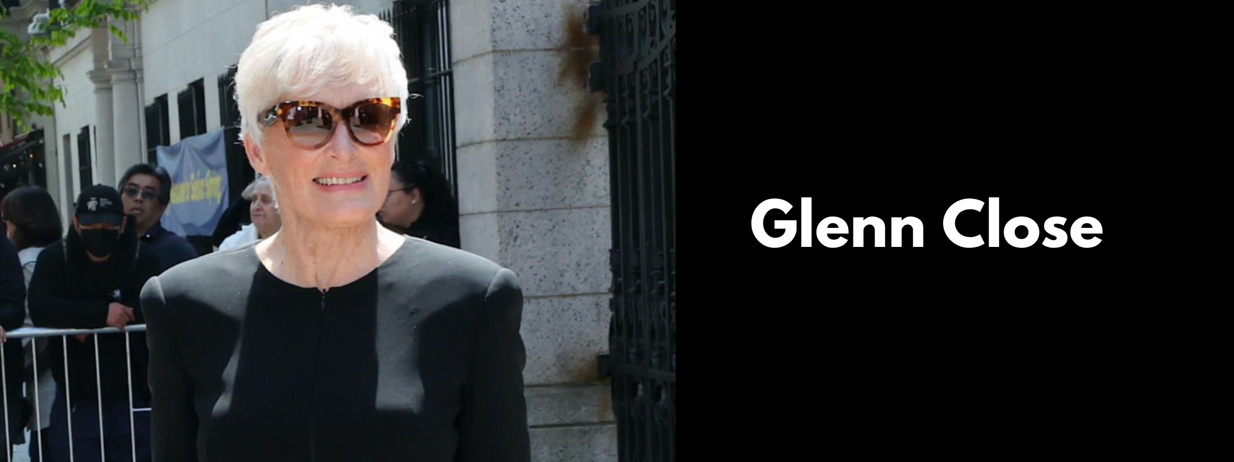 Glenn Close Sunglasses