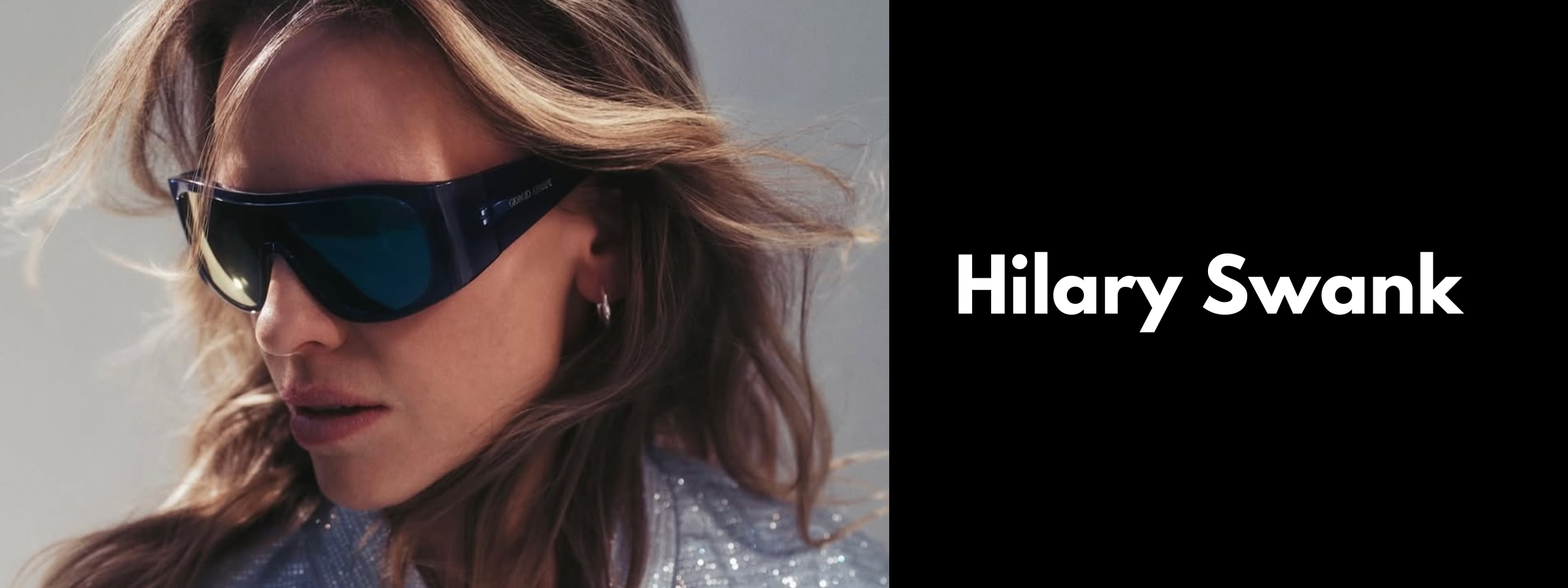 Hilary Swank Sunglasses