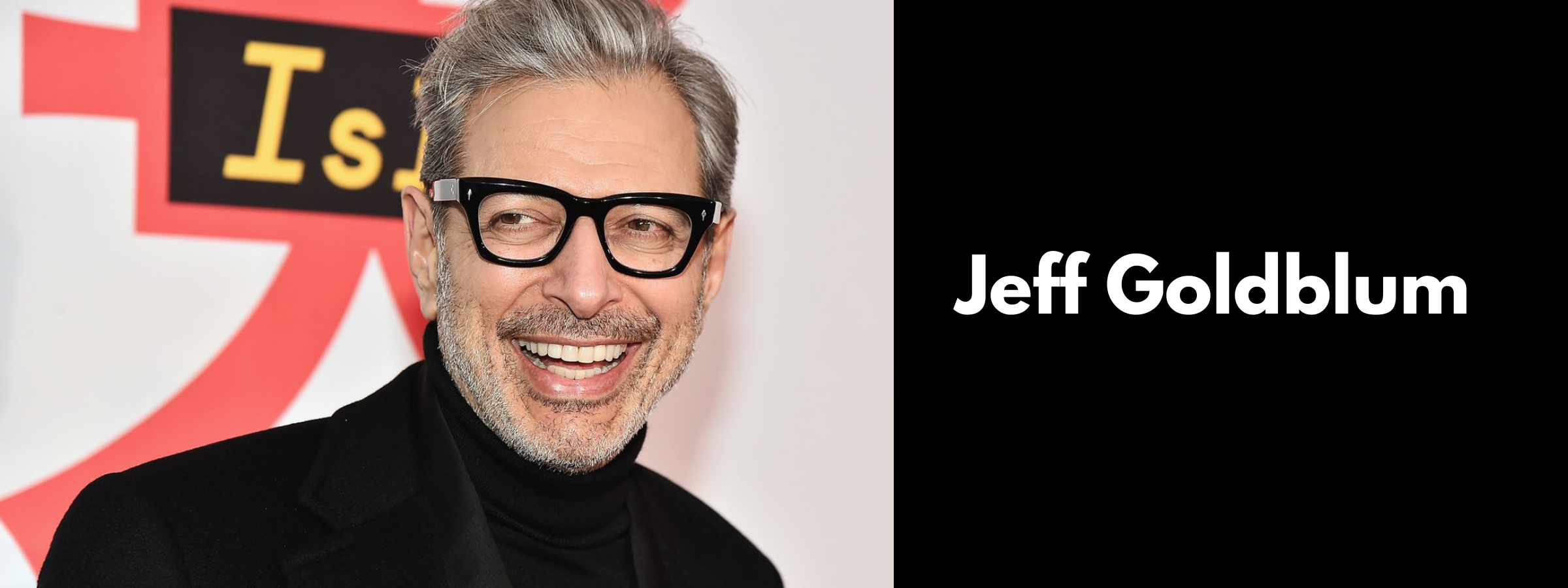 Jeff Goldblum Sunglasses