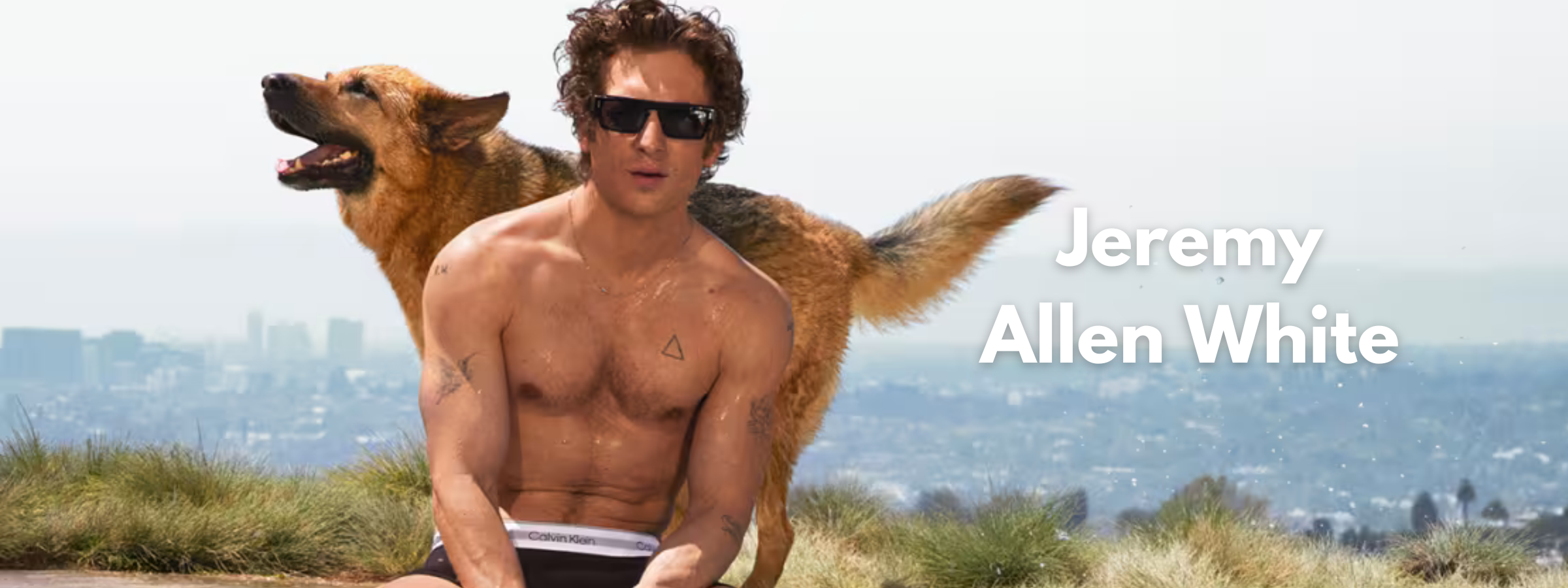 Jeremy Allen White Sunglasses