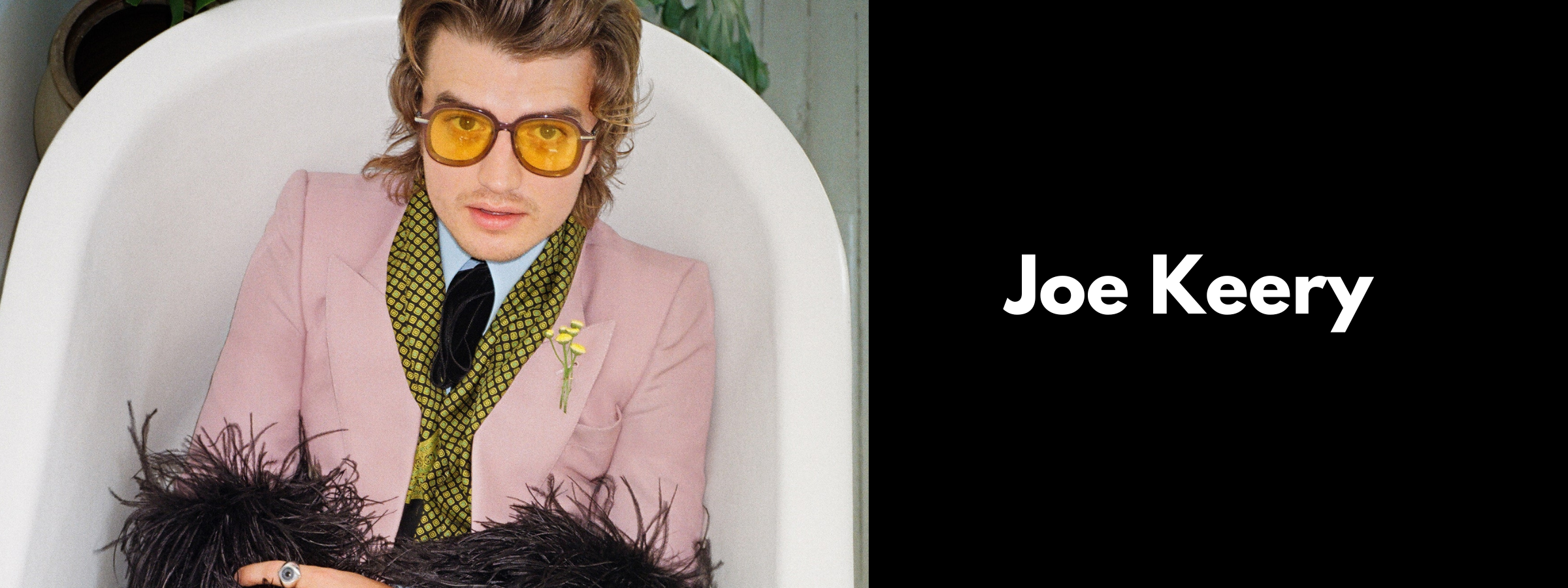 Joe Keery Sunglasses