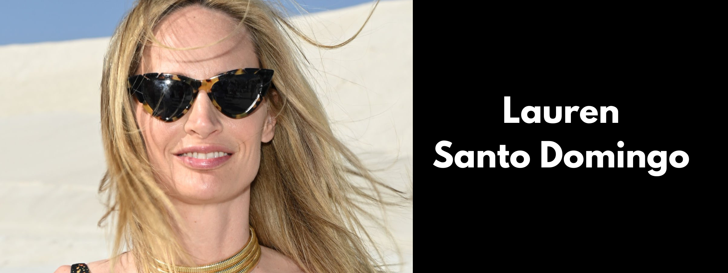 Lauren Santo Domingo Sunglasses