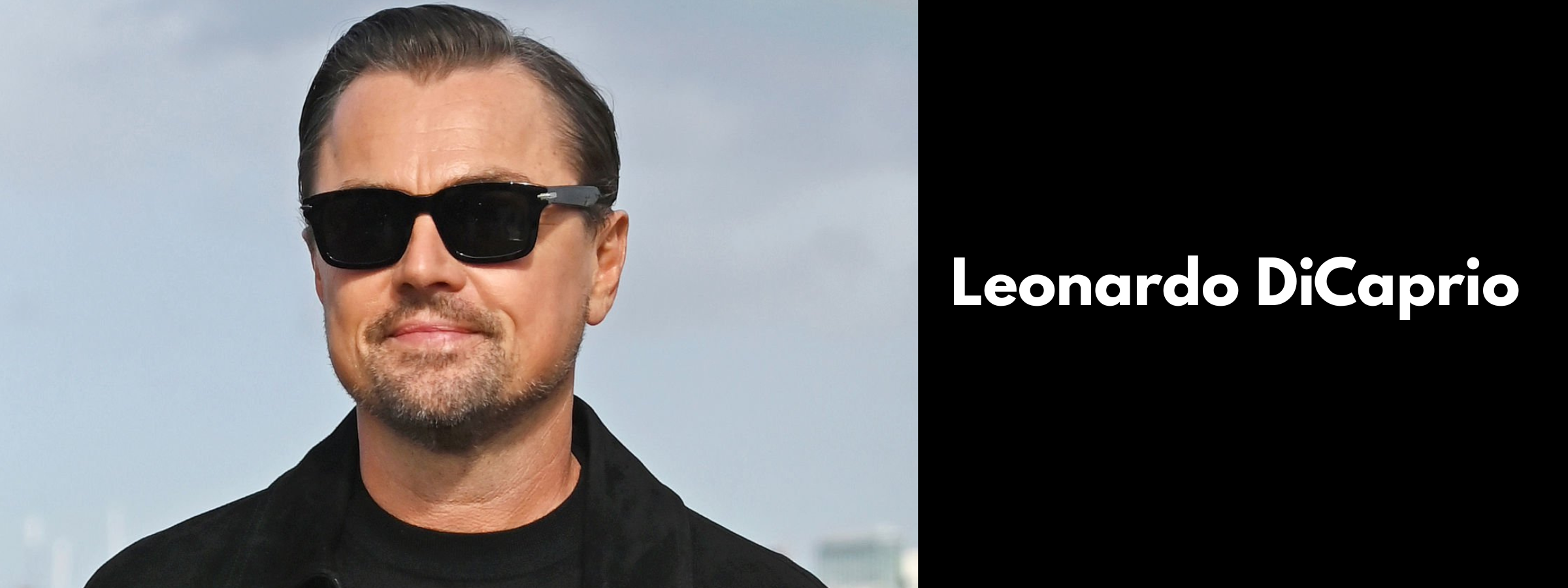 Leonardo DiCaprio Sunglasses