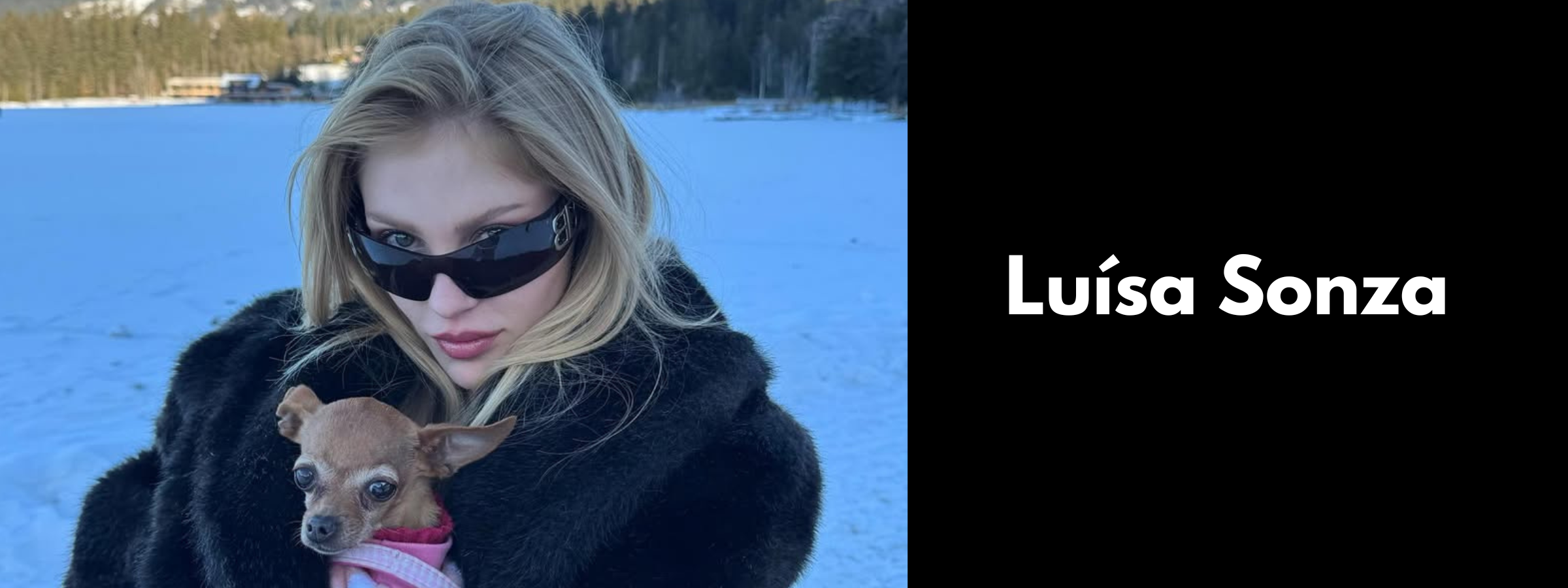 Luísa Sonza Sunglasses