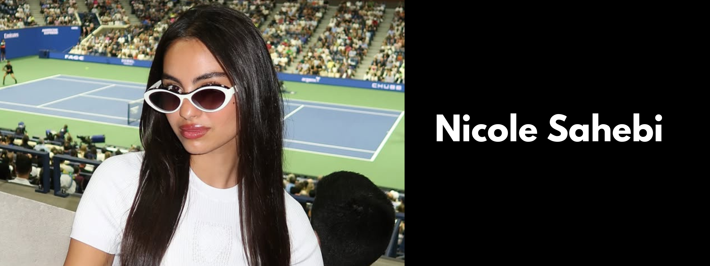 Nicole Sahebi Sunglasses