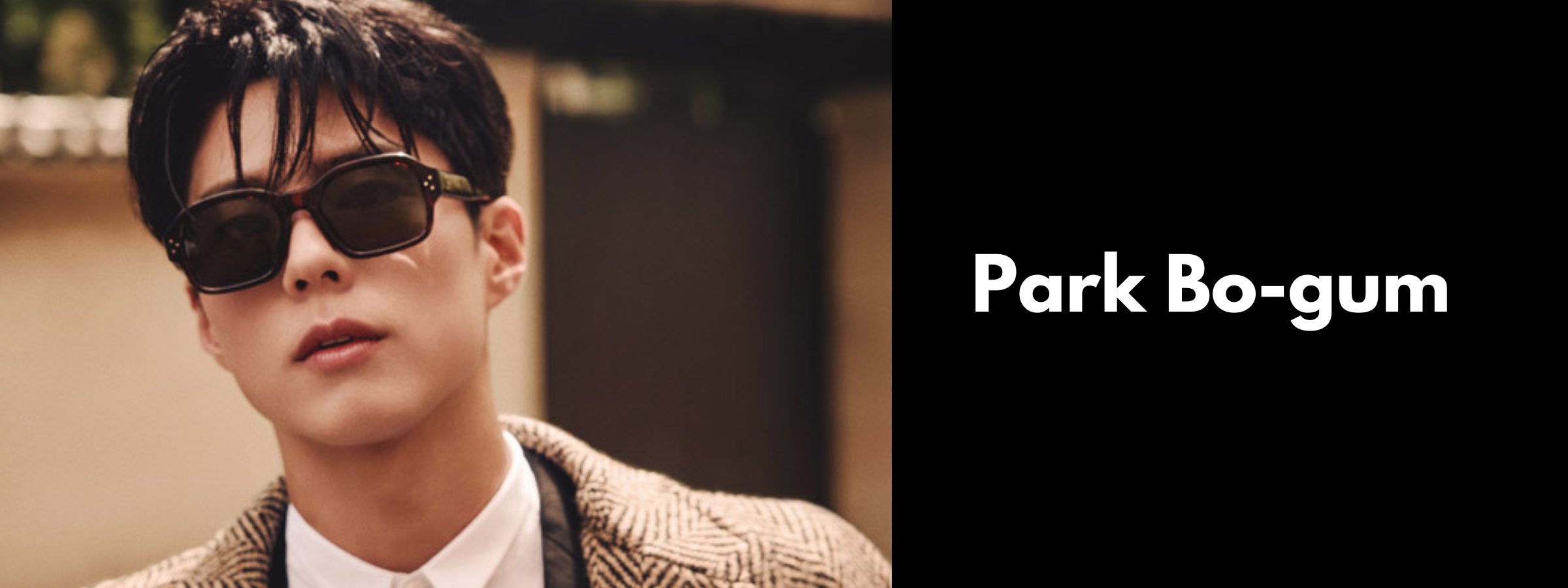 Park Bo-gum Sunglasses