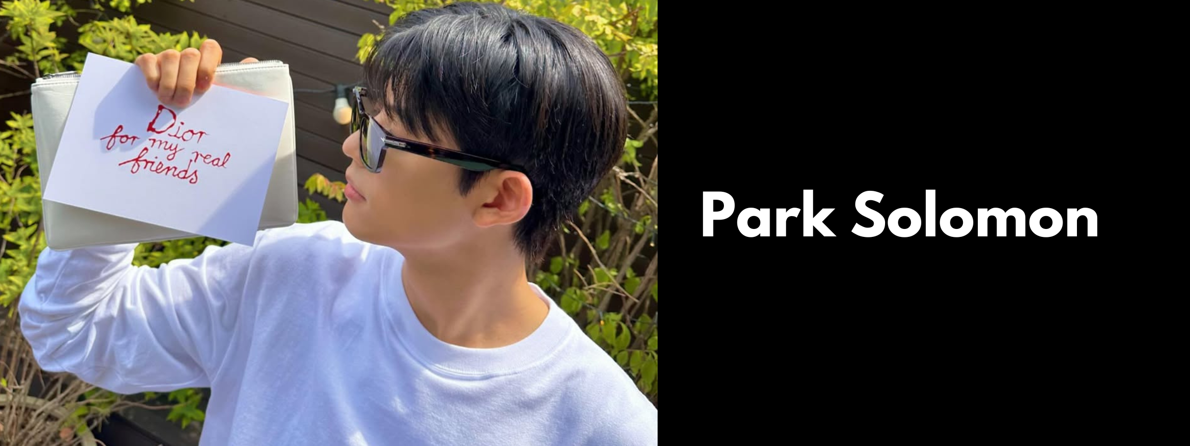 Park Solomon Sunglasses