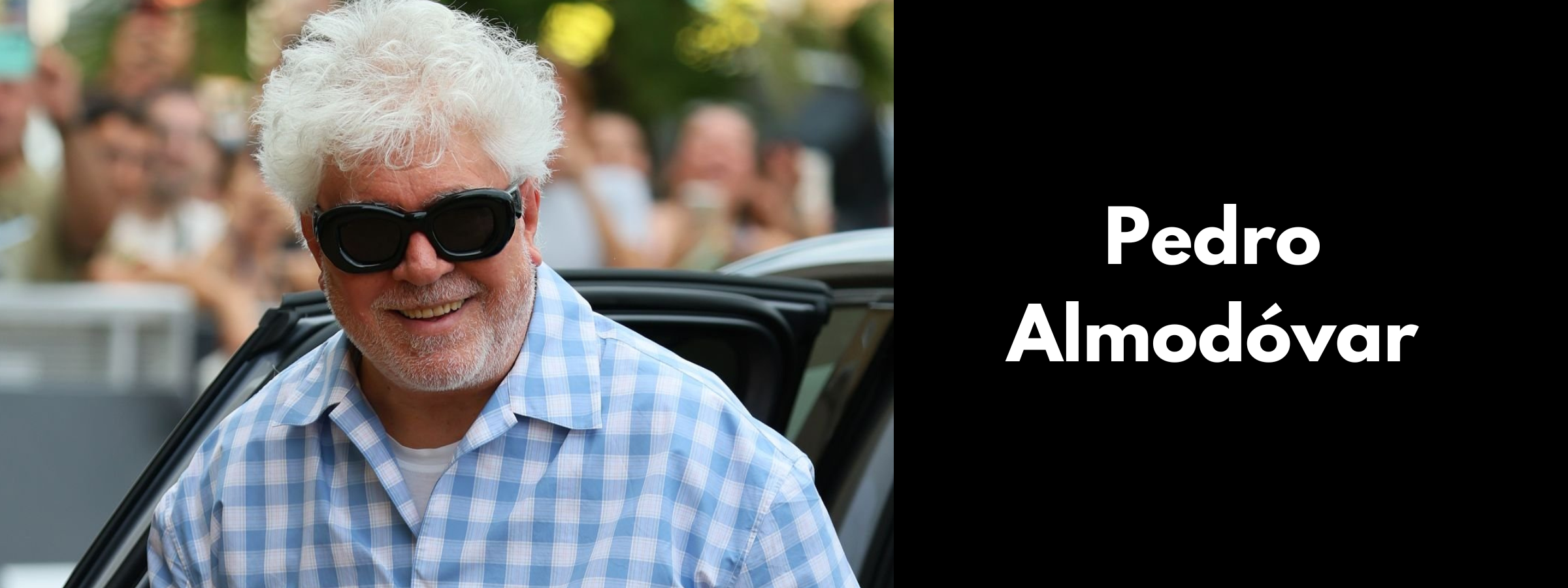 Pedro Almodóvar Sunglasses