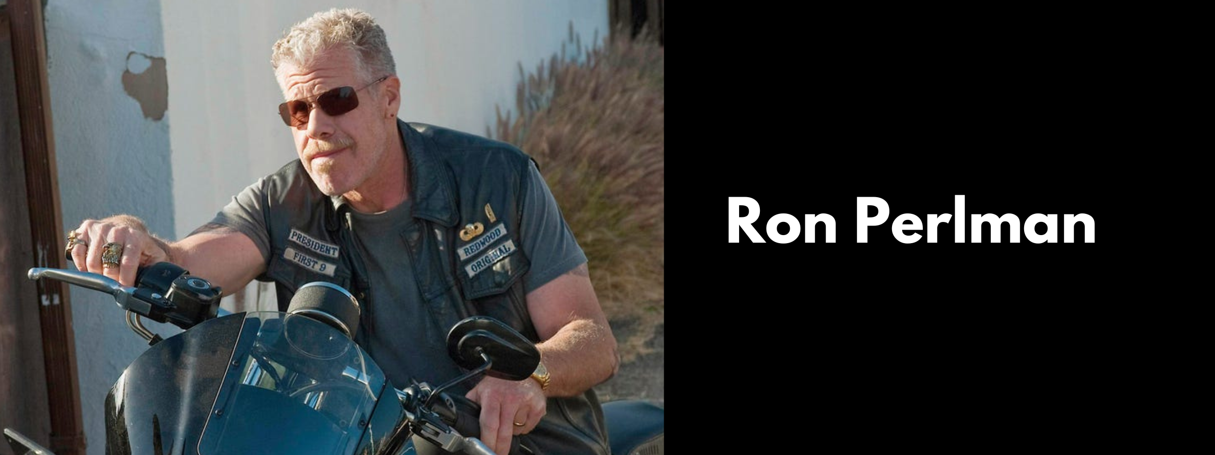 Ron Perlman Glasses & Sunglasses