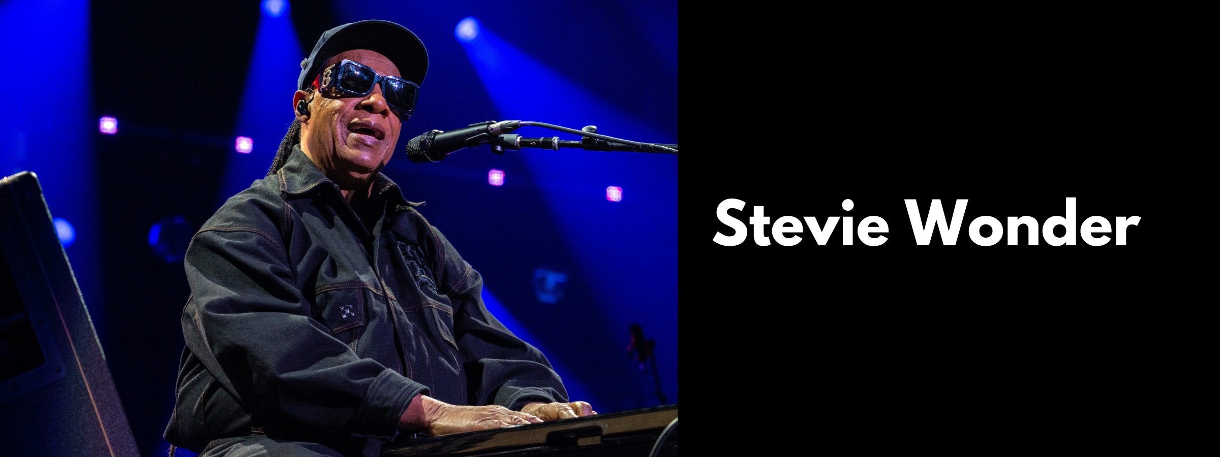 Stevie Wonder Sunglasses