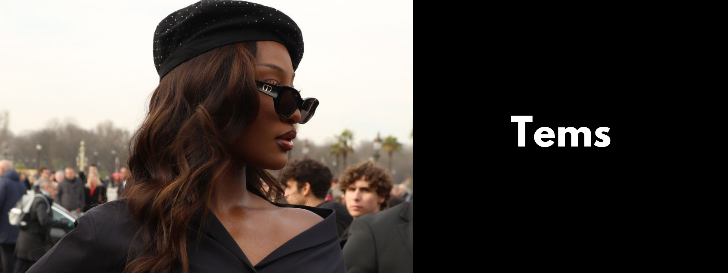 Tems Sunglasses