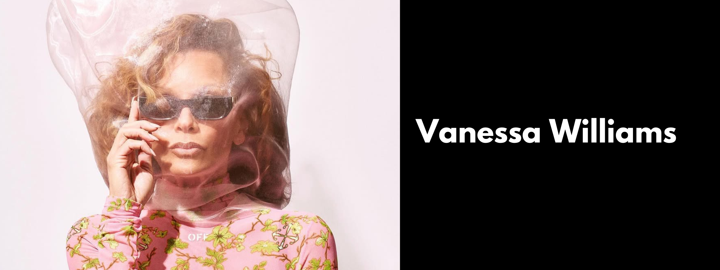 Vanessa Williams Sunglasses