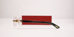Cartier Buffalo Horn CT0453O 001