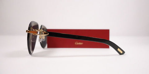 Cartier Buffalo Horn CT0440S 001 1KB