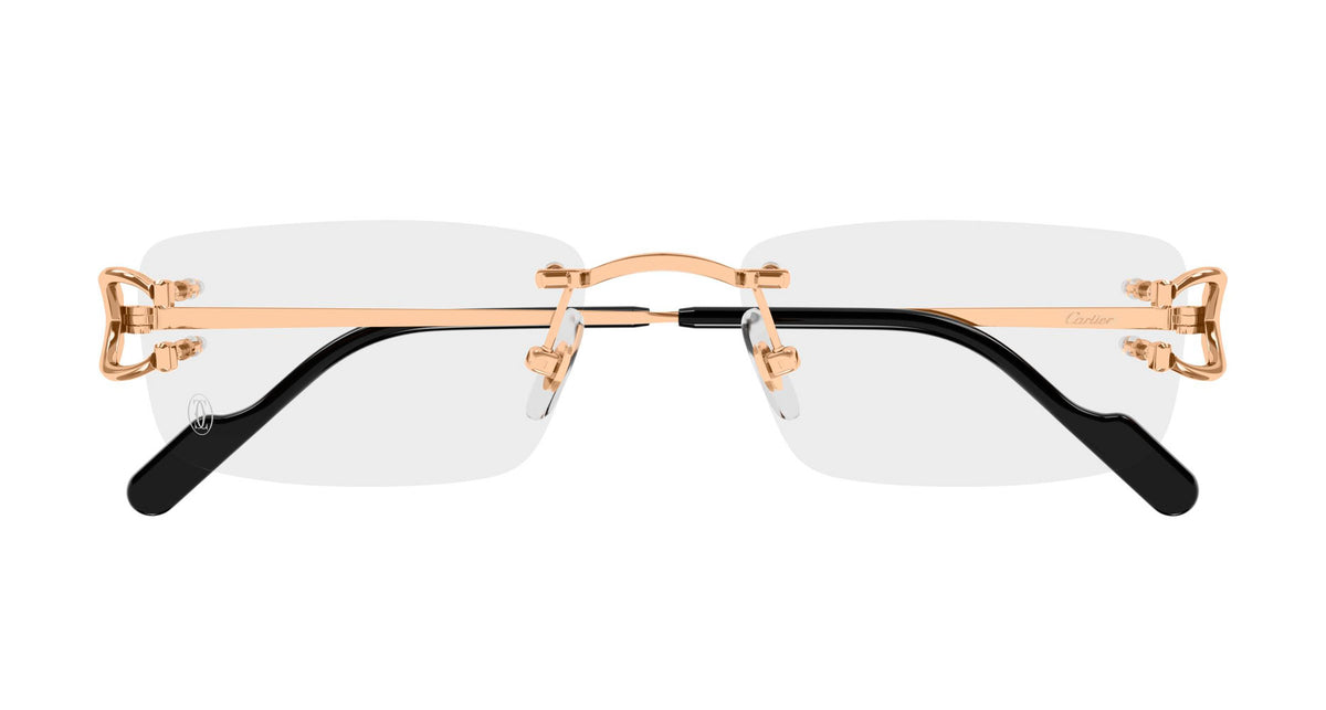 Cartier CT0344O 005