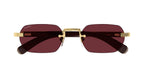 Cartier CT0362S 008