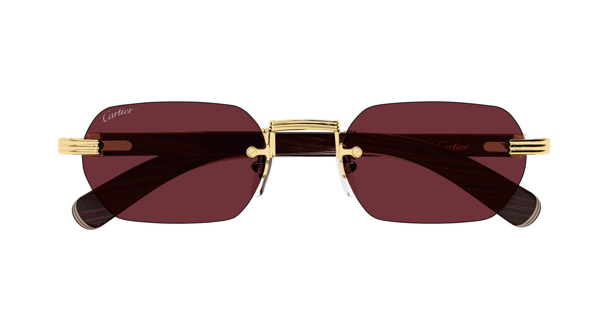 Cartier CT0362S 008