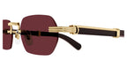 Cartier CT0362S 008