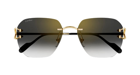 Cartier CT0394S 001
