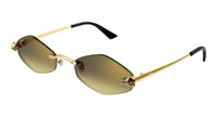 Cartier CT0433S 008