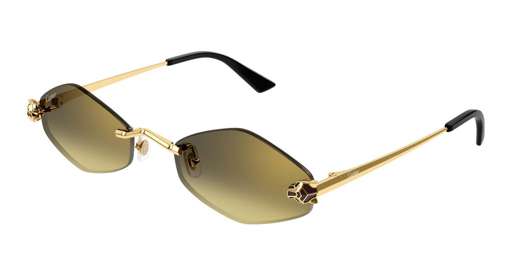 Cartier CT0433S 008
