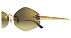 Cartier CT0433S 008