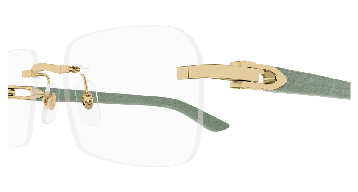 Cartier CT0453O 005